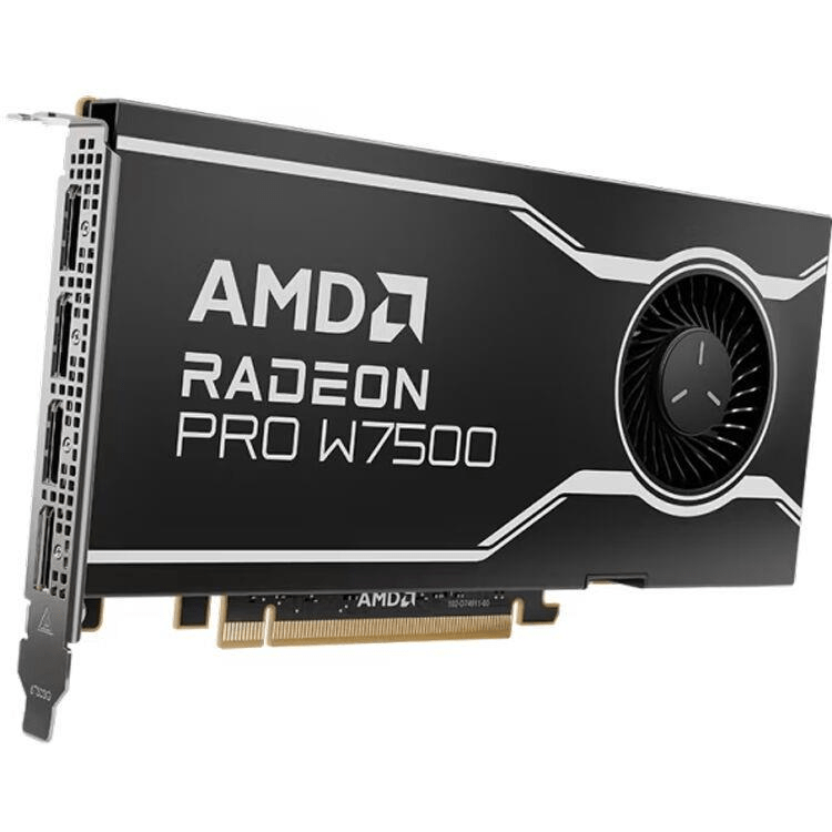AMD Radeon Pro W7500 8GB GDDR6 Graphics Card 100-300000078
