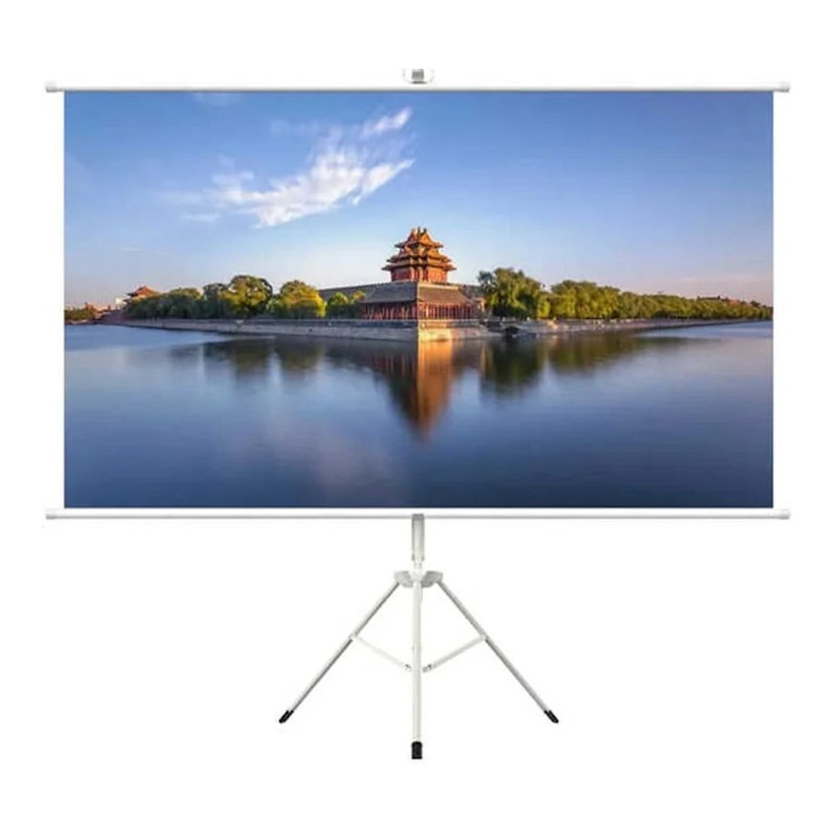 HTPNEO 100-Inch 16:9 Portable Projector Screen with Tripod Stand 100TS169