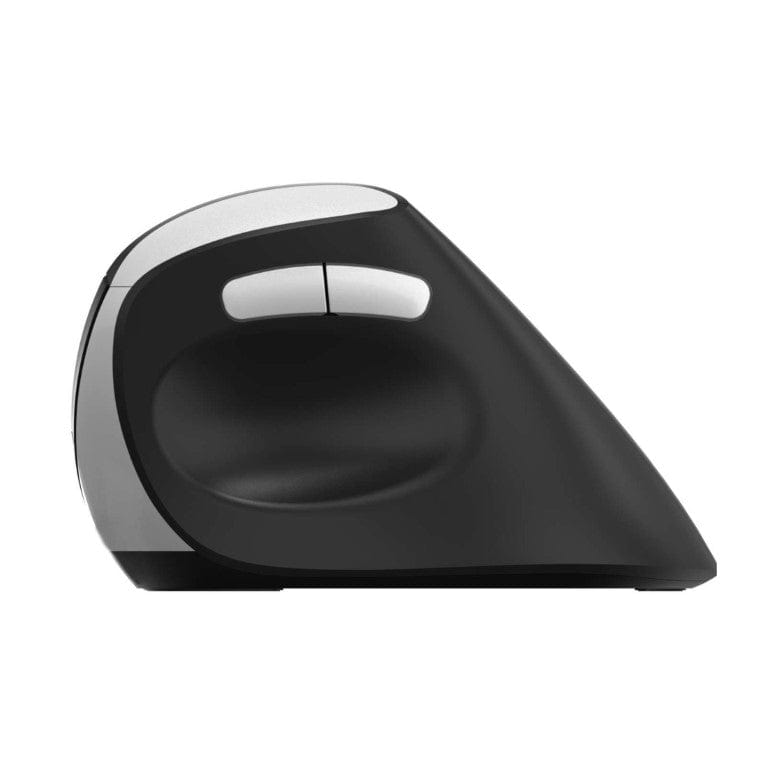 Rapoo EV250 Ergonomic Wireless Mouse 13531