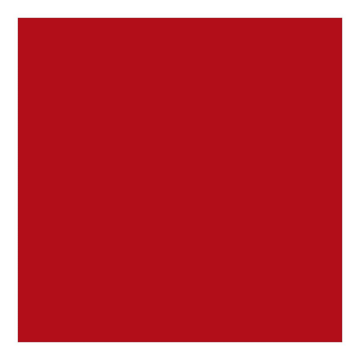 Cricut Joy Smart Vinyl Permanent 14x122cm 1-sheet Mat Red 2011694