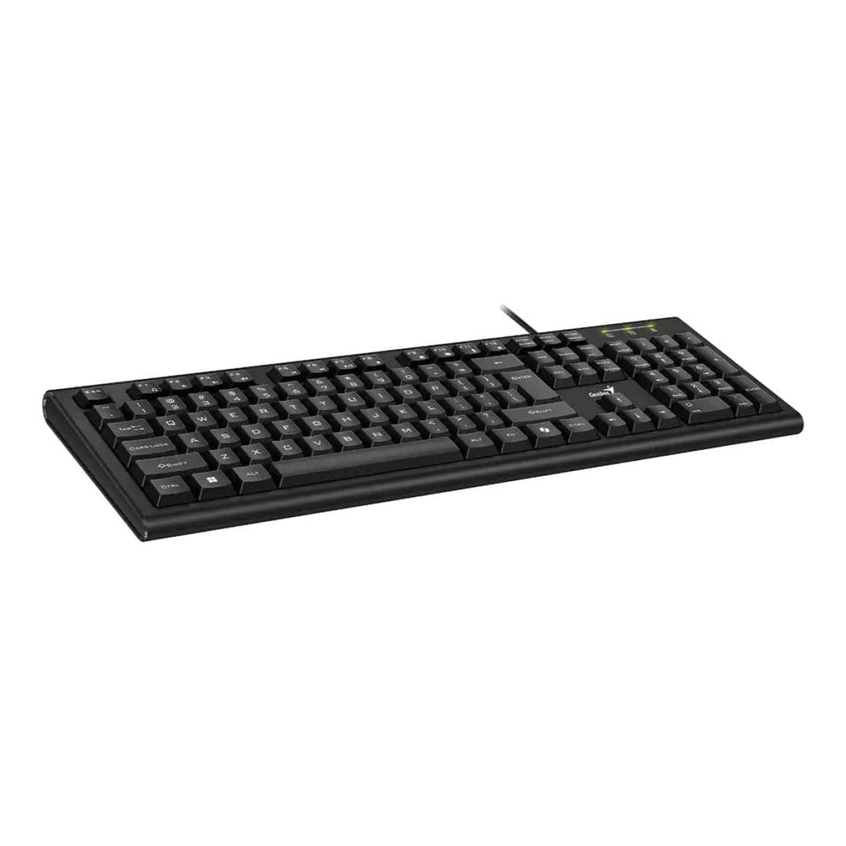 Genius KB-113 Wired Copilot Keyboard 31300018400