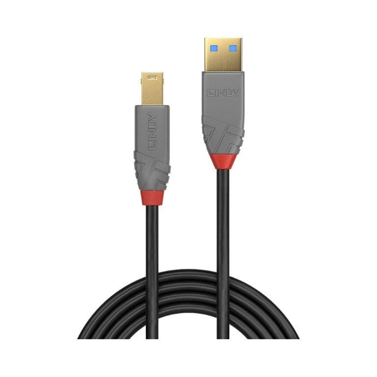 Lindy Anthra Line Type-A to Type-B Cable 5m 36744