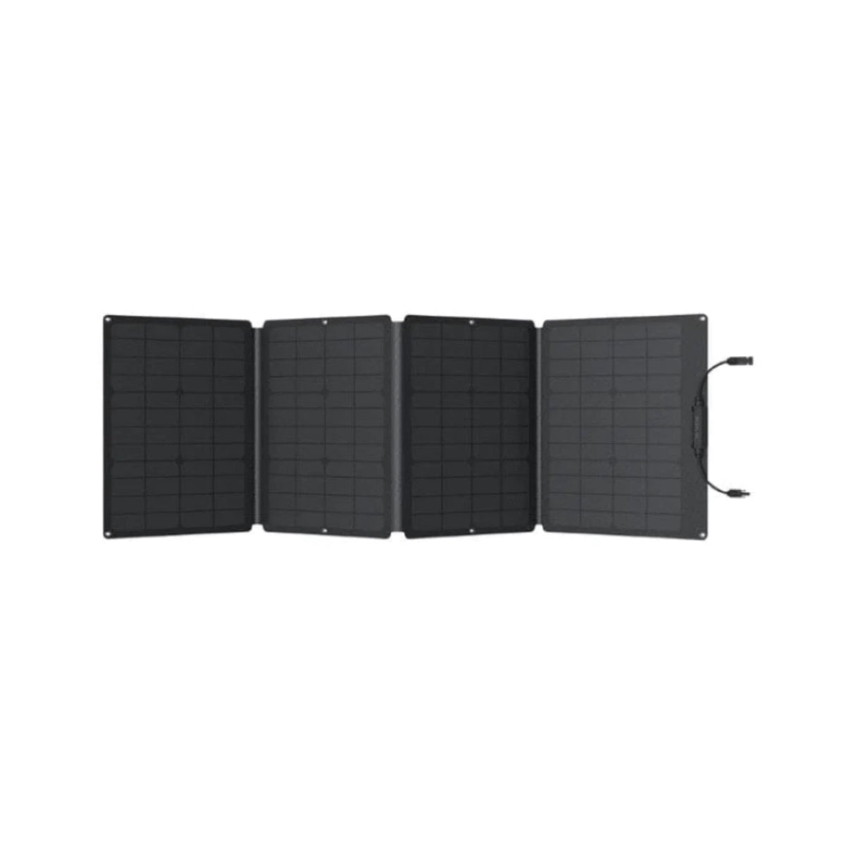 EcoFlow 110W Solar Panel 50022004