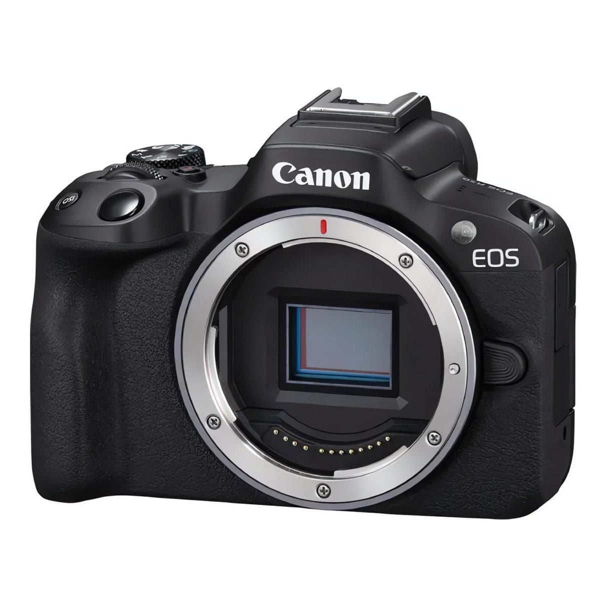 Canon EOS R50 Mirrorless Camera Body 5811C052
