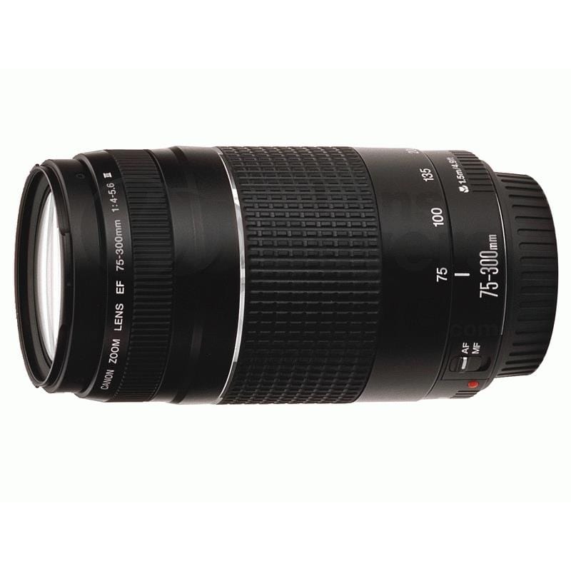Canon EF 75-300mm f/4.0-5.6 III SLR Telephoto lens Black