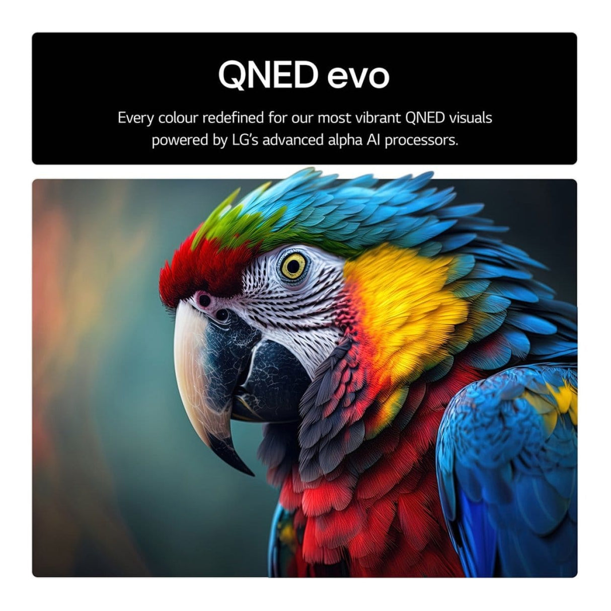 LG QNED evo AI 65-inch 4K UHD Smart TV 65QNED86A6A