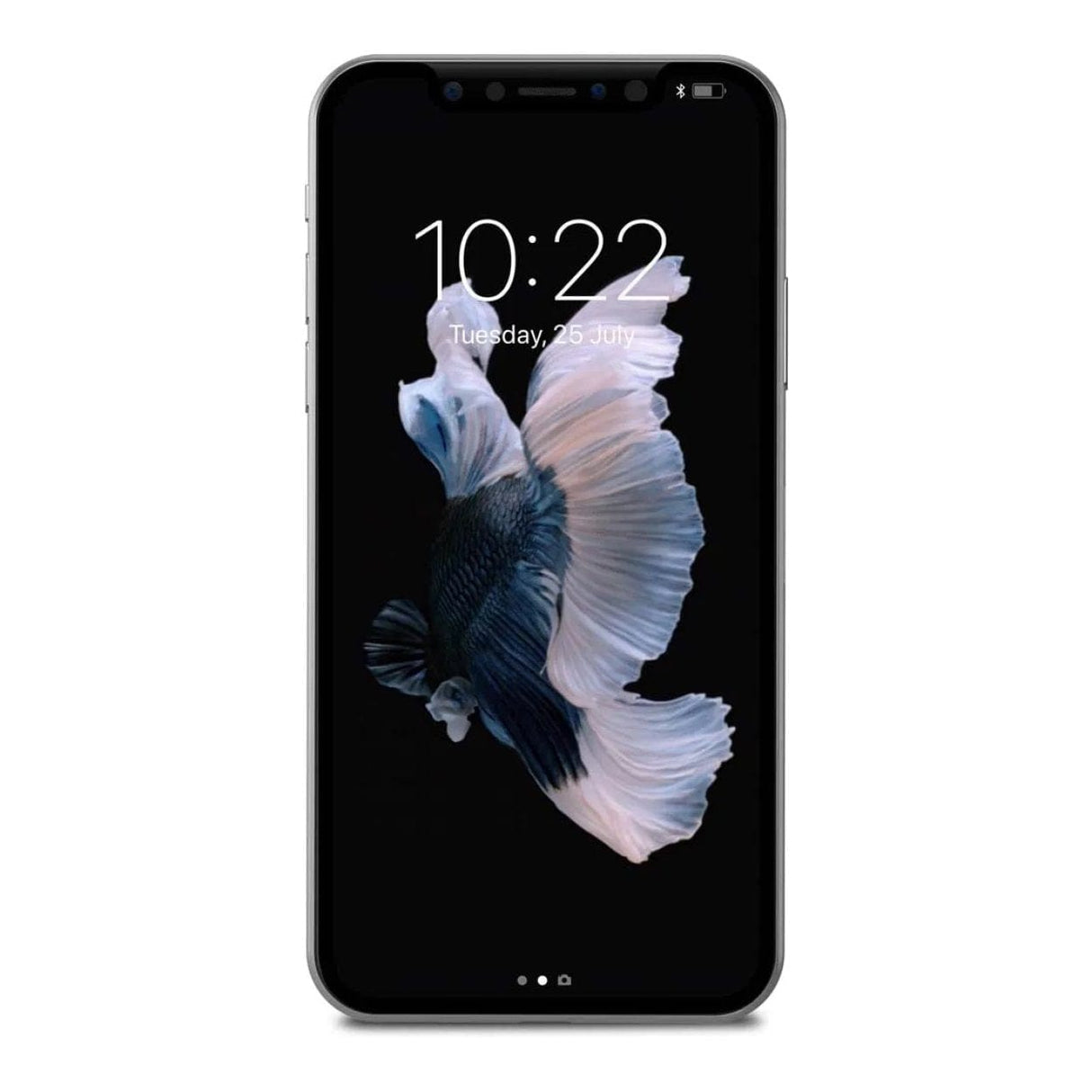 Moshi IonGlass Privacy Screen Protector for iPhone 11 Pro 99MO115003