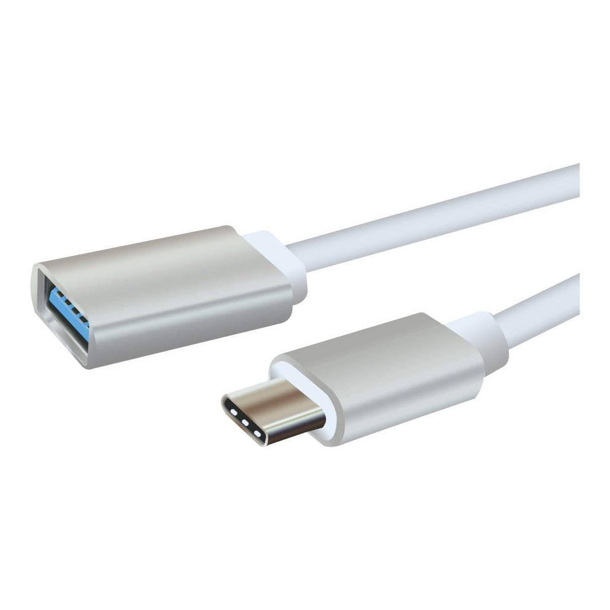 Parrot USB C Male to USB B Female Adaptor AD2018