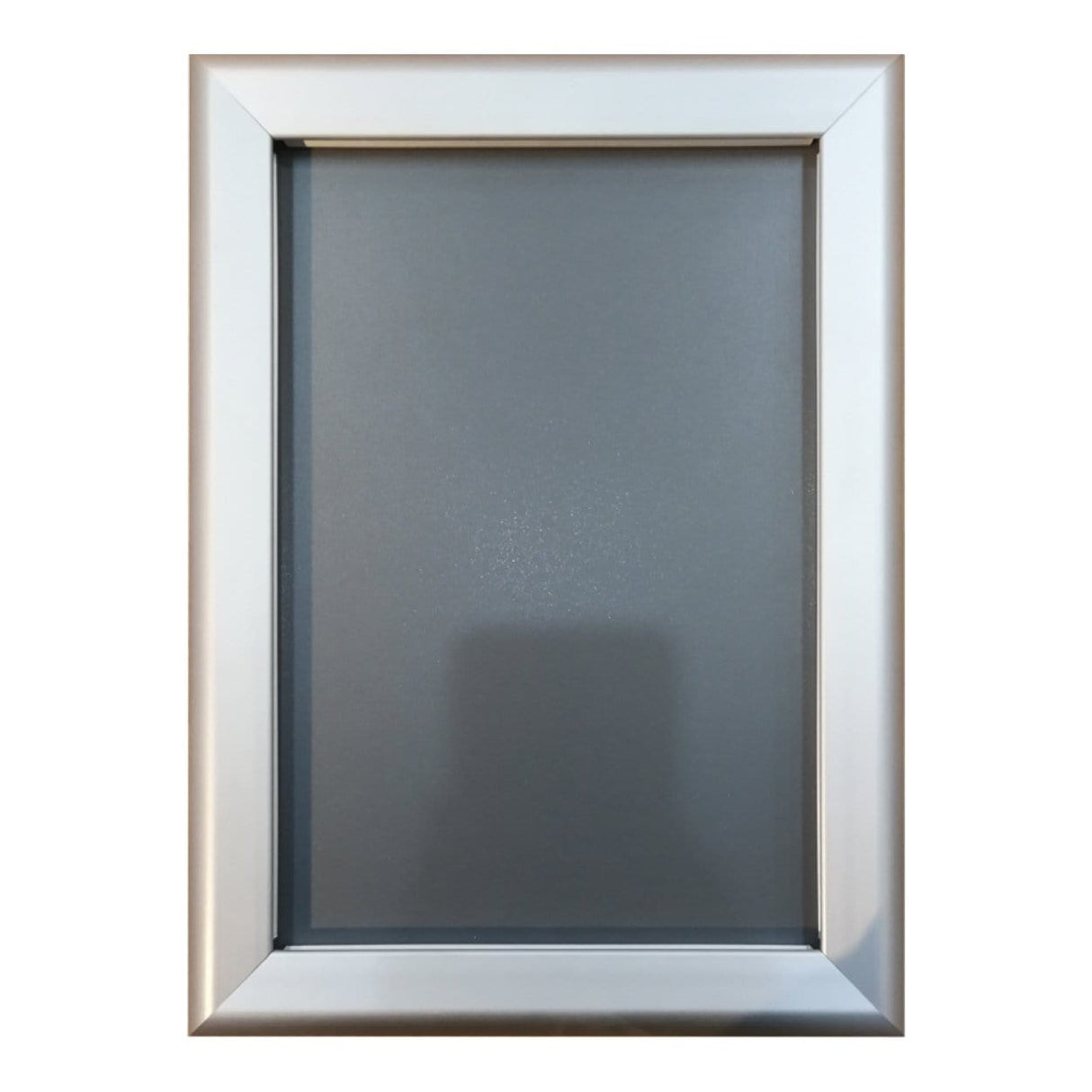 Parrot Poster Frame A2 655x480mm Single Sided Mitred Corner BG1002