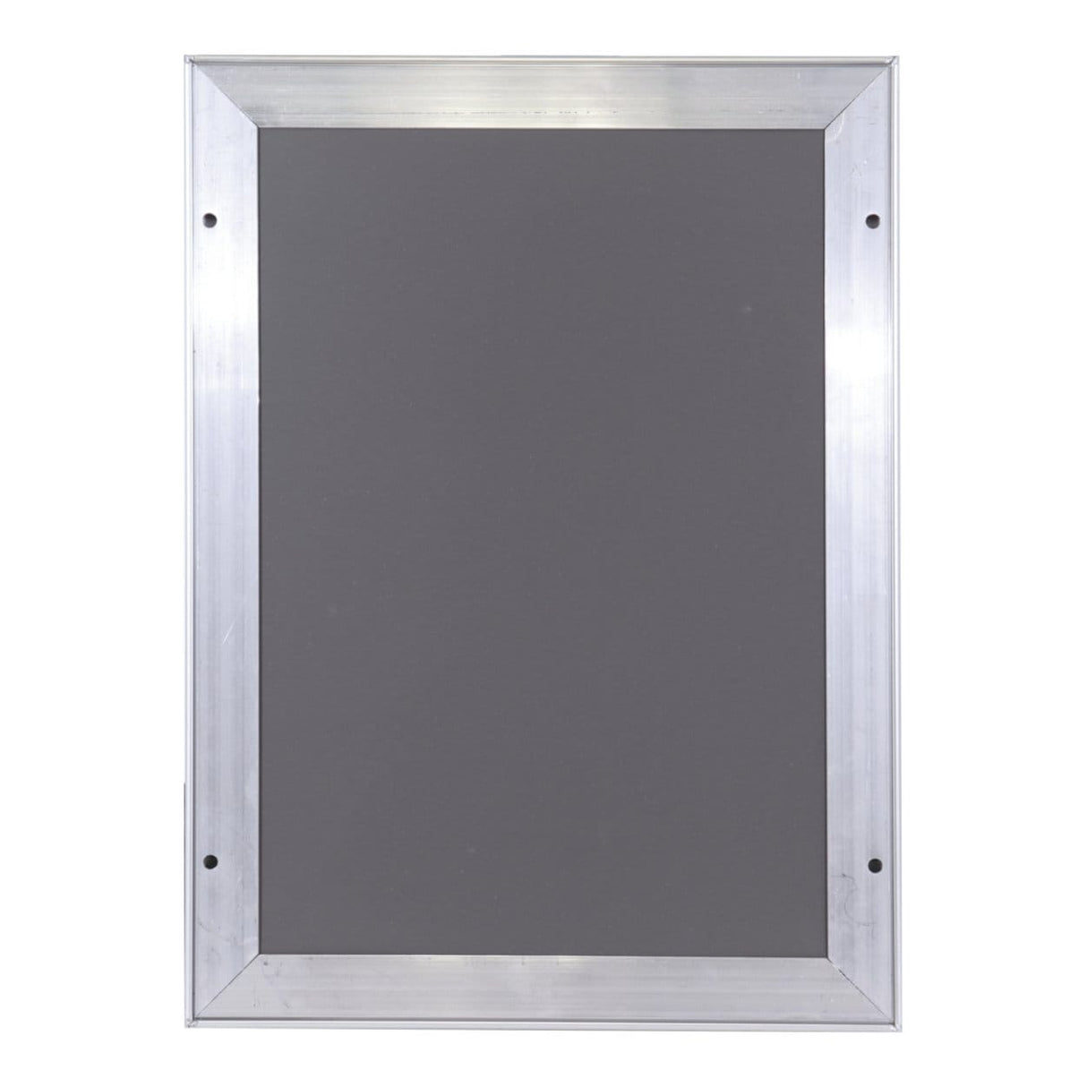 Parrot Poster Frame A4 330x240mm Single Mitred Econo BG3204