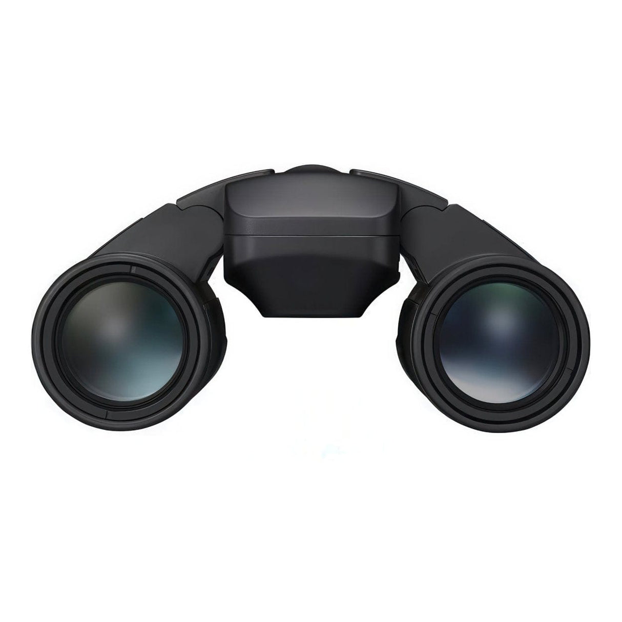 Nikon 12x25 S Stabilized Binocular Black BINNIS12X25