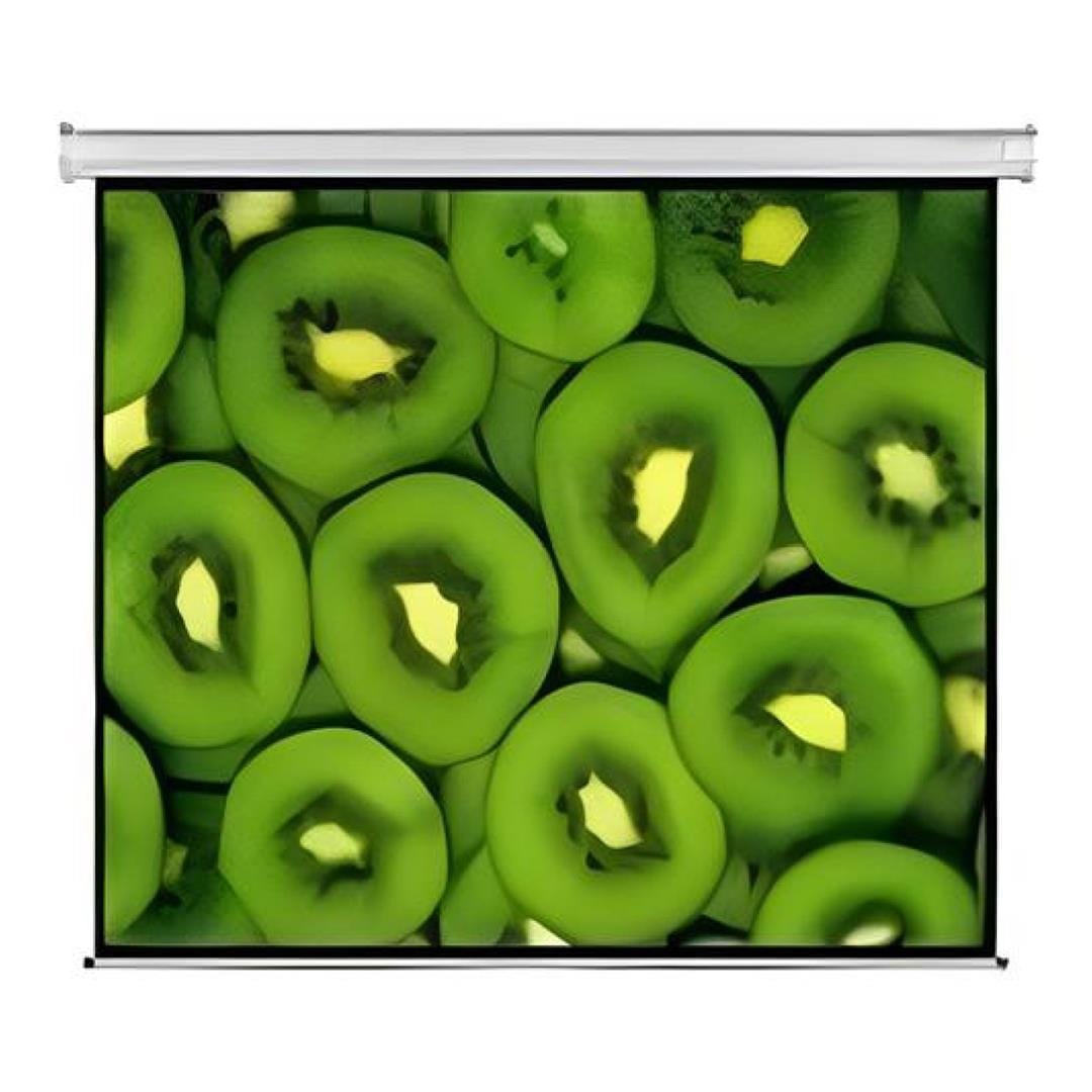 Esquire 300x169cm Electric Projector Screen CEW300