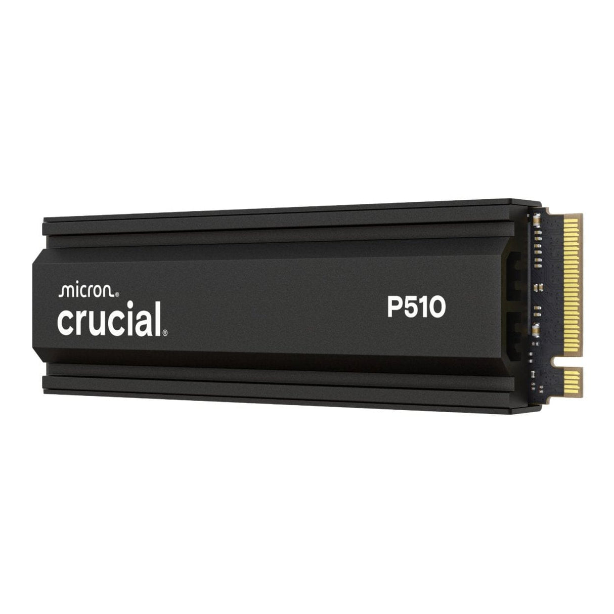 Crucial M.2 1TB PCIe 5.0 NVMe Internal SSD CT1000P510SSD5