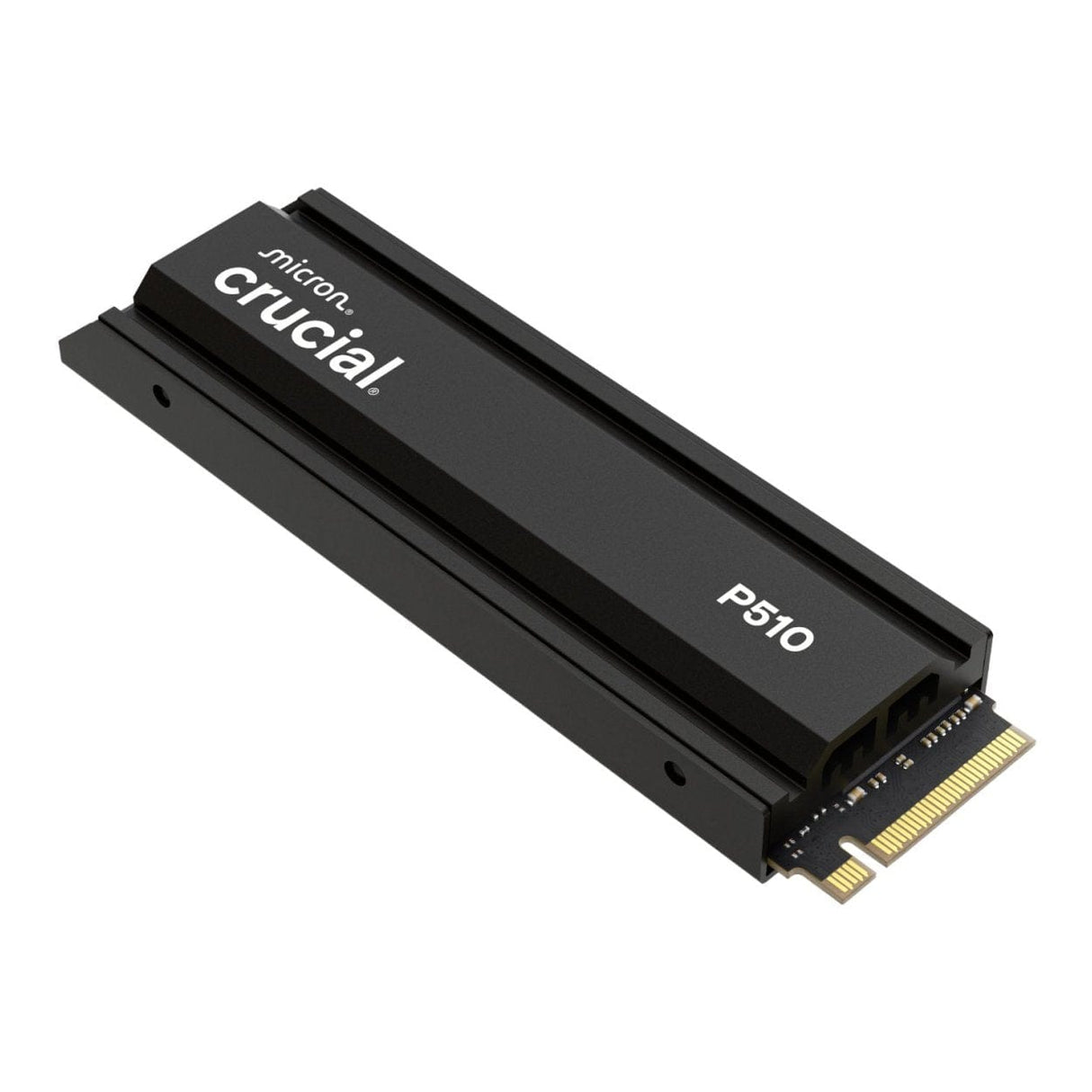 Crucial M.2 1TB PCIe 5.0 NVMe Internal SSD CT1000P510SSD5