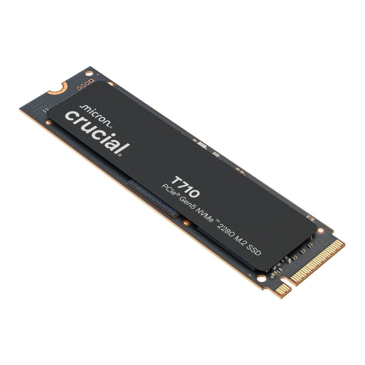 Crucial T710 M.2 1TB PCIe 5.0 NVMe Internal SSD CT1000T710SSD8