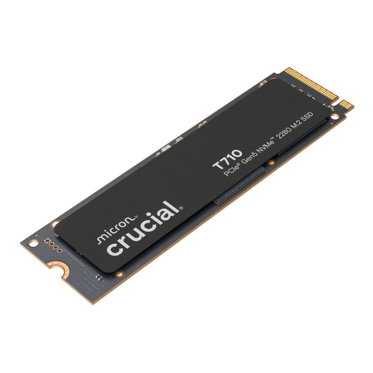 Crucial T710 M.2 1TB PCIe 5.0 NVMe Internal SSD CT1000T710SSD8
