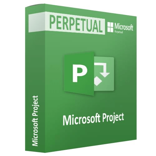 Microsoft Project Server 2019 User CAL - Perpetual License