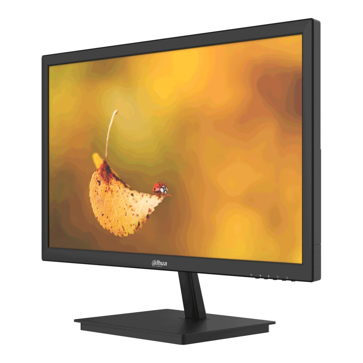 Dahua LM19-L200 19.5-inch 1600 × 900p HD+ 16:9 60Hz 5ms LED TN Monitor
