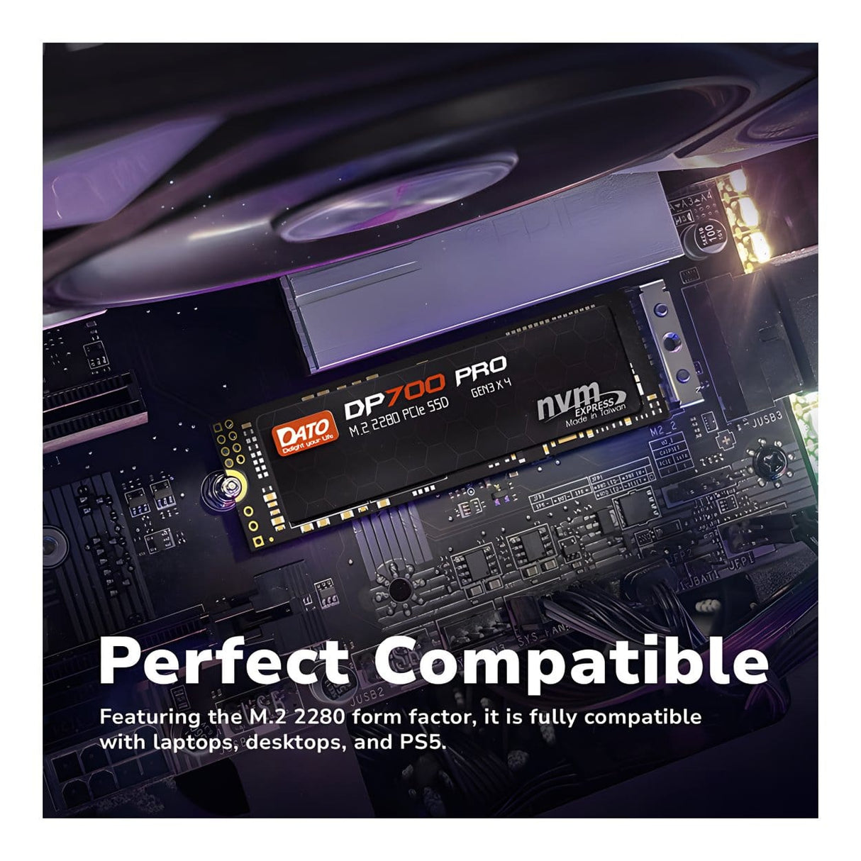 Dato DP700PRO 256GB M.2 2280 PCIe 3 NVMe Internal SSD