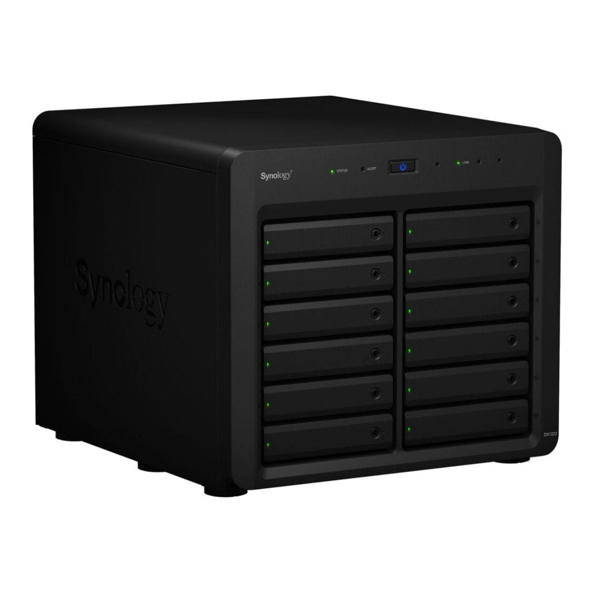 Synology DX1222 12-Bay Expansion Unit