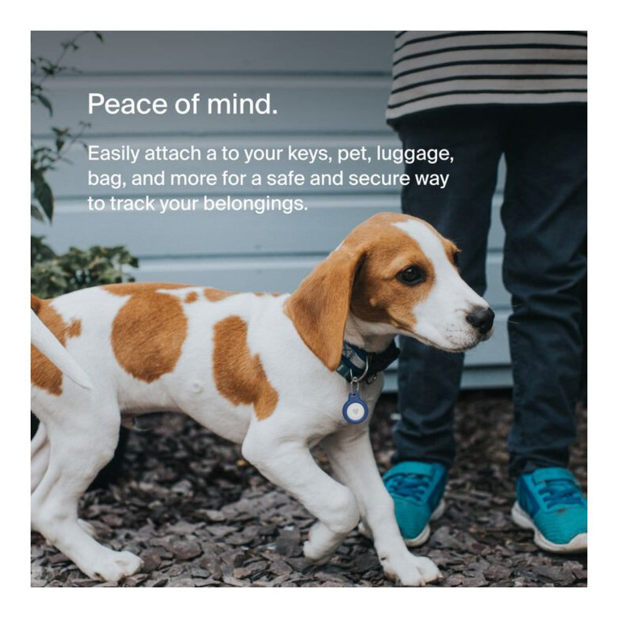 Belkin Secure Holder with Key Ring for AirTag Blue F8W973BTBLU