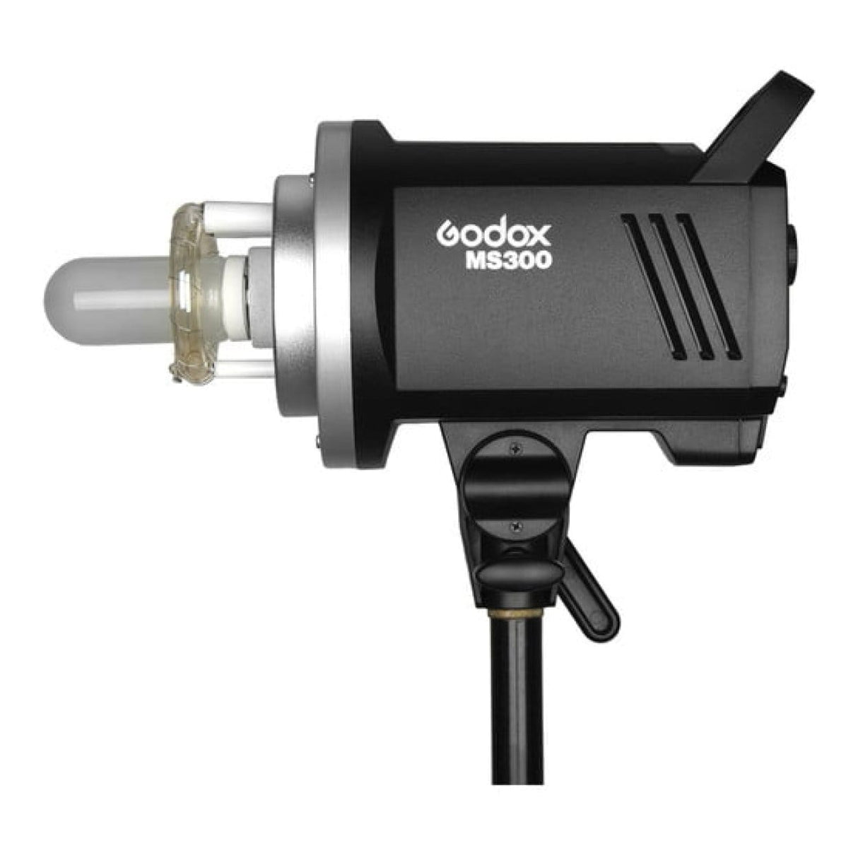 Godox MS300(V) 3 Monolight Studio Kit