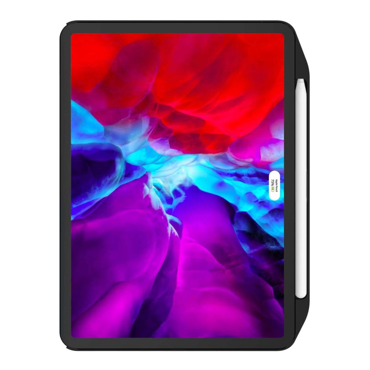 SwitchEasy CoverBuddy 13-inch Protective Case for iPad Pro Black GS-109-99-152-11