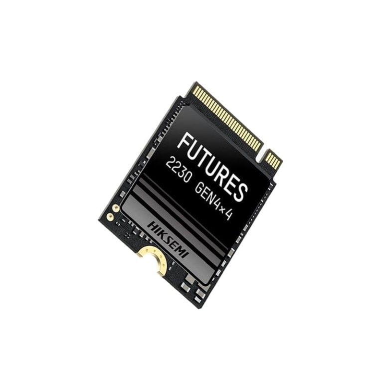 Hiksemi Future S 1TB M.2 NVMe 2230 Internal SSD