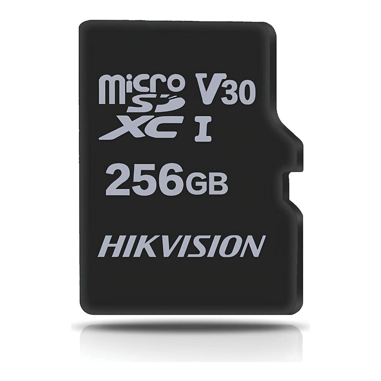 Hikvision L2 V30 256GB Surveillance MicroSD (TF) Card HS-TF-L2-256G