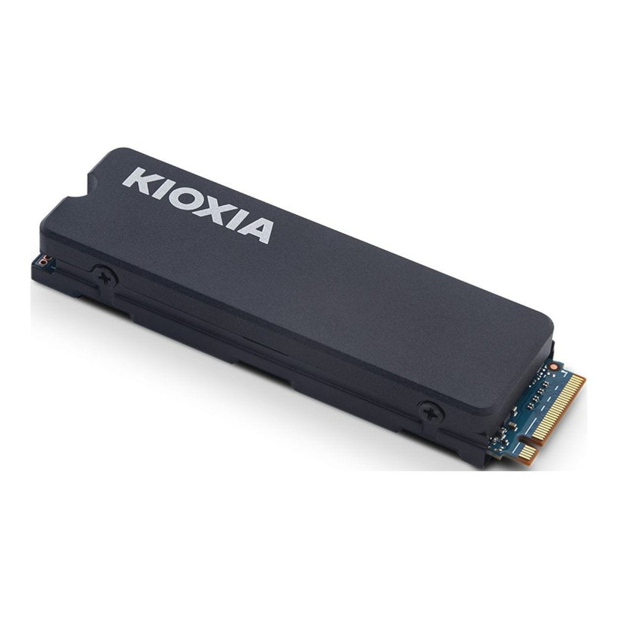 Kioxia LSC11K2T04G8 M.2 2TB PCIe 4.0 NVMe Internal SSD