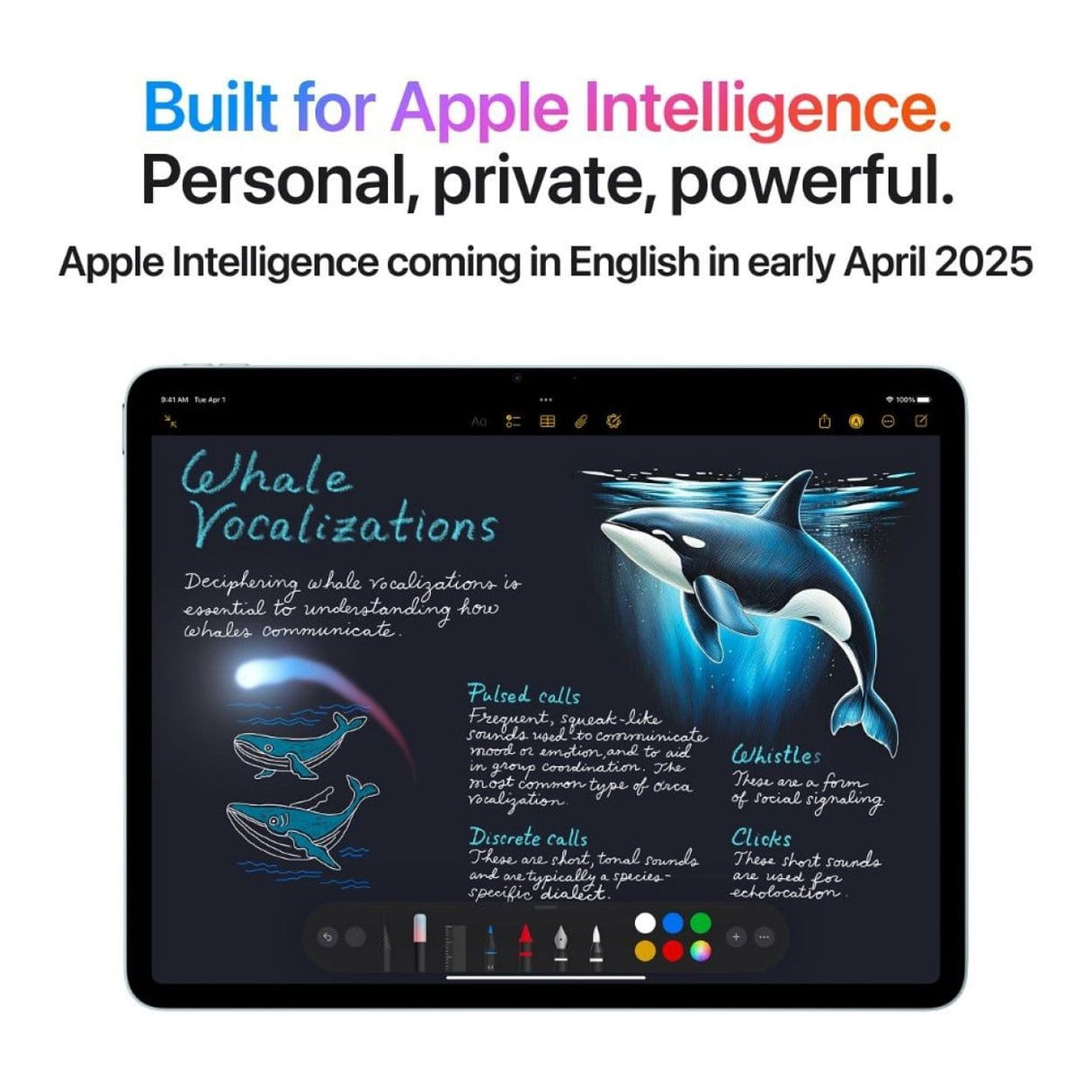 Apple iPad Air 11-inch Tablet - Apple M3 1TB ROM 8GB RAM Wi-Fi iPadOS 18 Blue