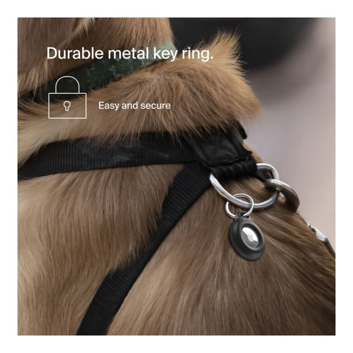 Belkin Waterproof Secure Holder with Key Ring for AirTag Black 2-pack MSC014BTBK-AZ