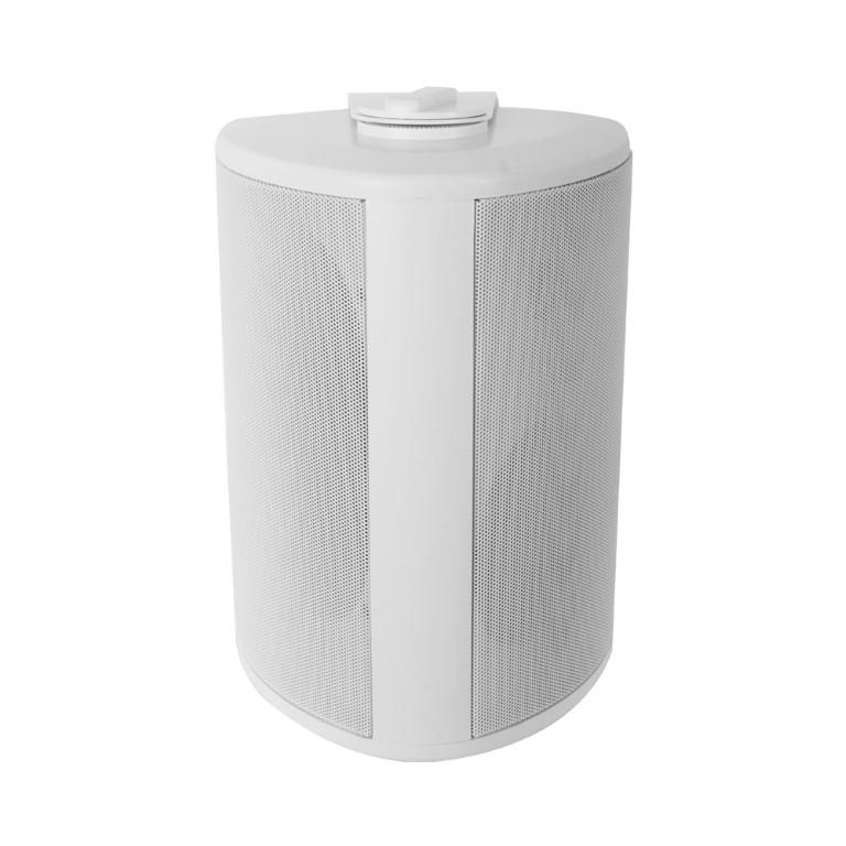 LinkQnet OWS-5 5.25-inch Powerful Bass Weather-Resistant Wall Speaker
