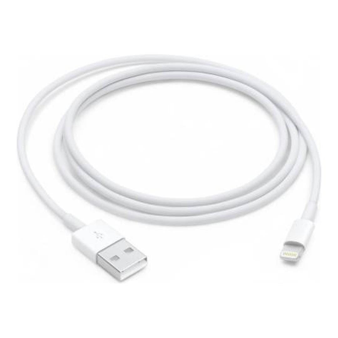 PB137-LIGHT Type-A to Lightning Charging Cable 1m