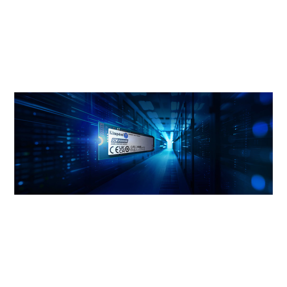 Kingston Enterprise DC2000B 240GB PCIe 4.0 M.2 2280 Internal SSD SEDC2000BYM8/240G