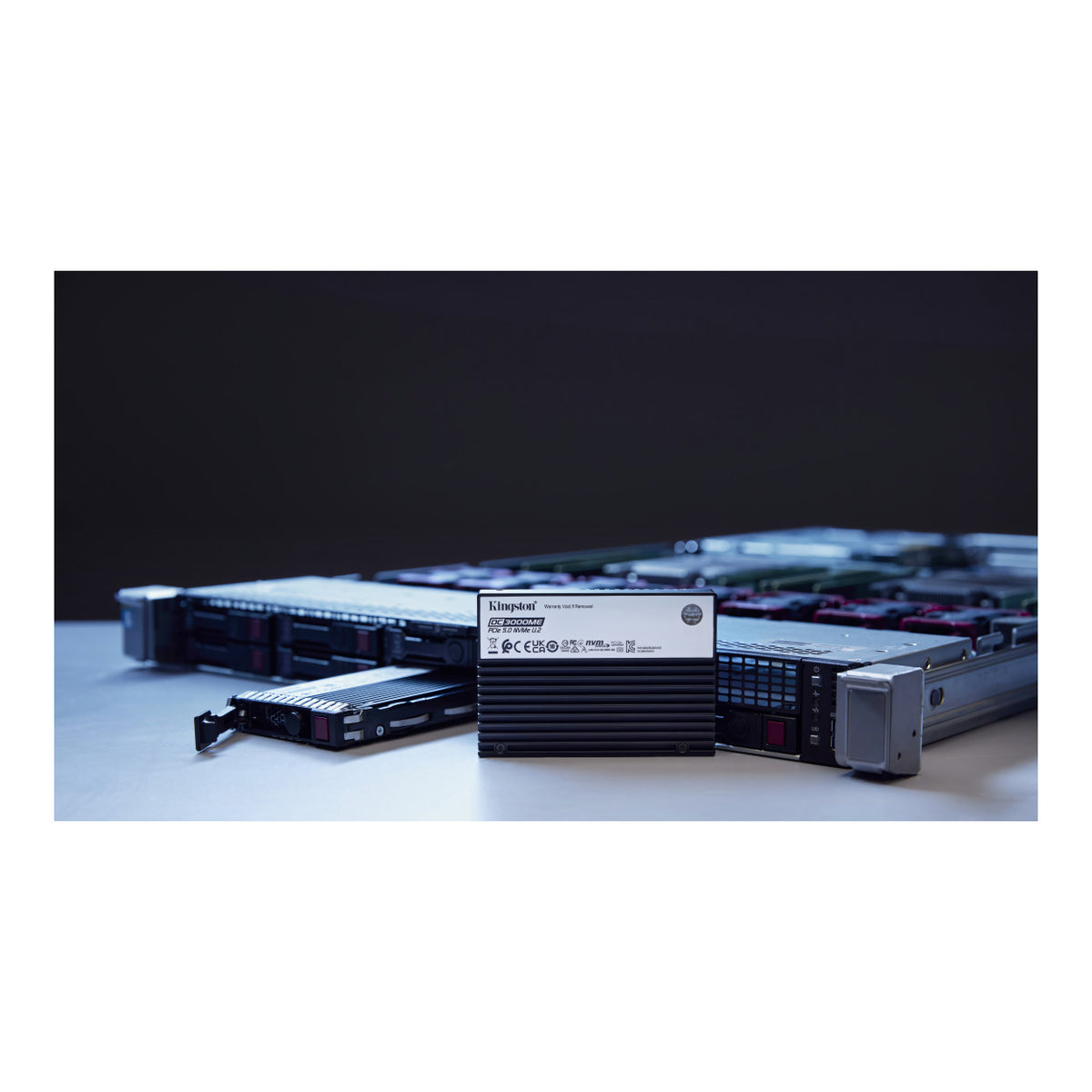 Kingston DC3000ME 7.68TB U.2 PCIe 5.0 NVMe TCG Opal Enterprise Internal SSD SEDC3000ME/7T6