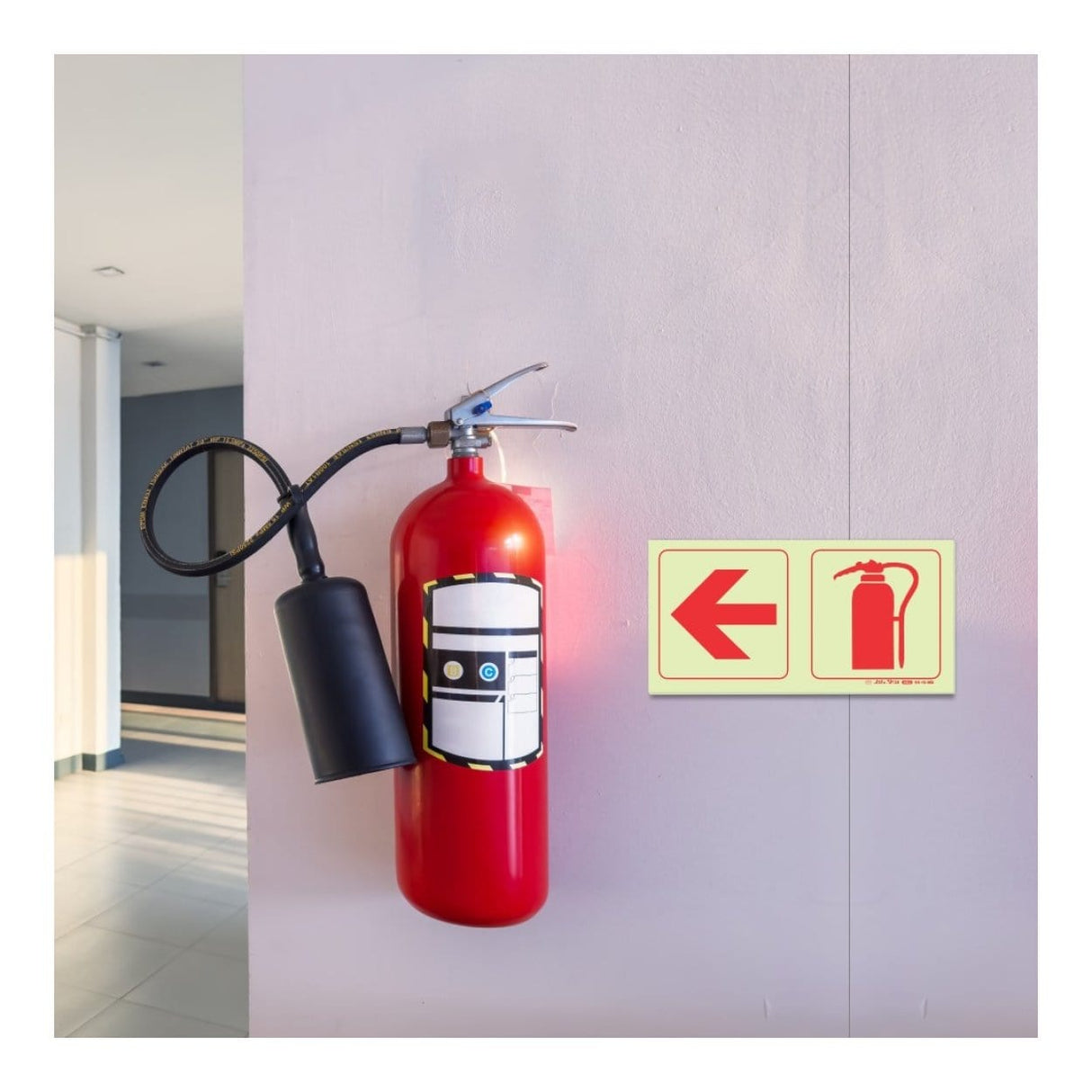 Parrot 190mm Photoluminescent Safety Sign SNP19F16