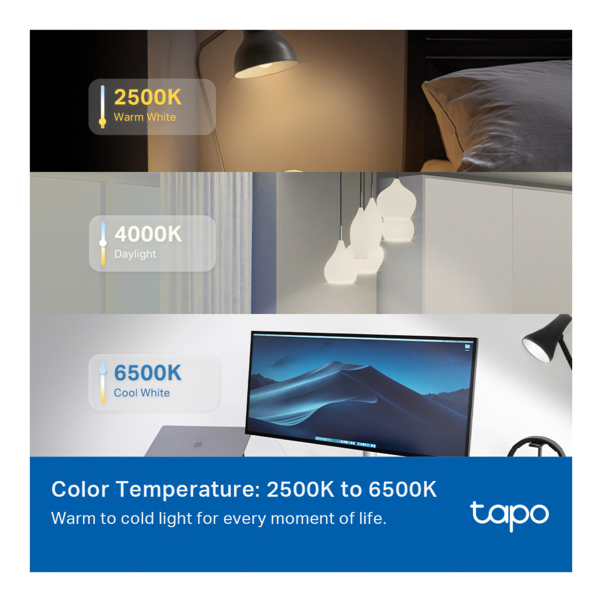 TP-Link Tapo L430P Smart P45 Multicolor Light Bulb