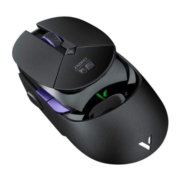 Rapoo VT960Pro-BLACK Wired and Wireless Gaming Mouse