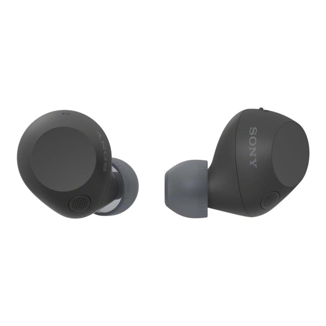 Sony True Wireless Earbuds Black WF-C710N/BZ E