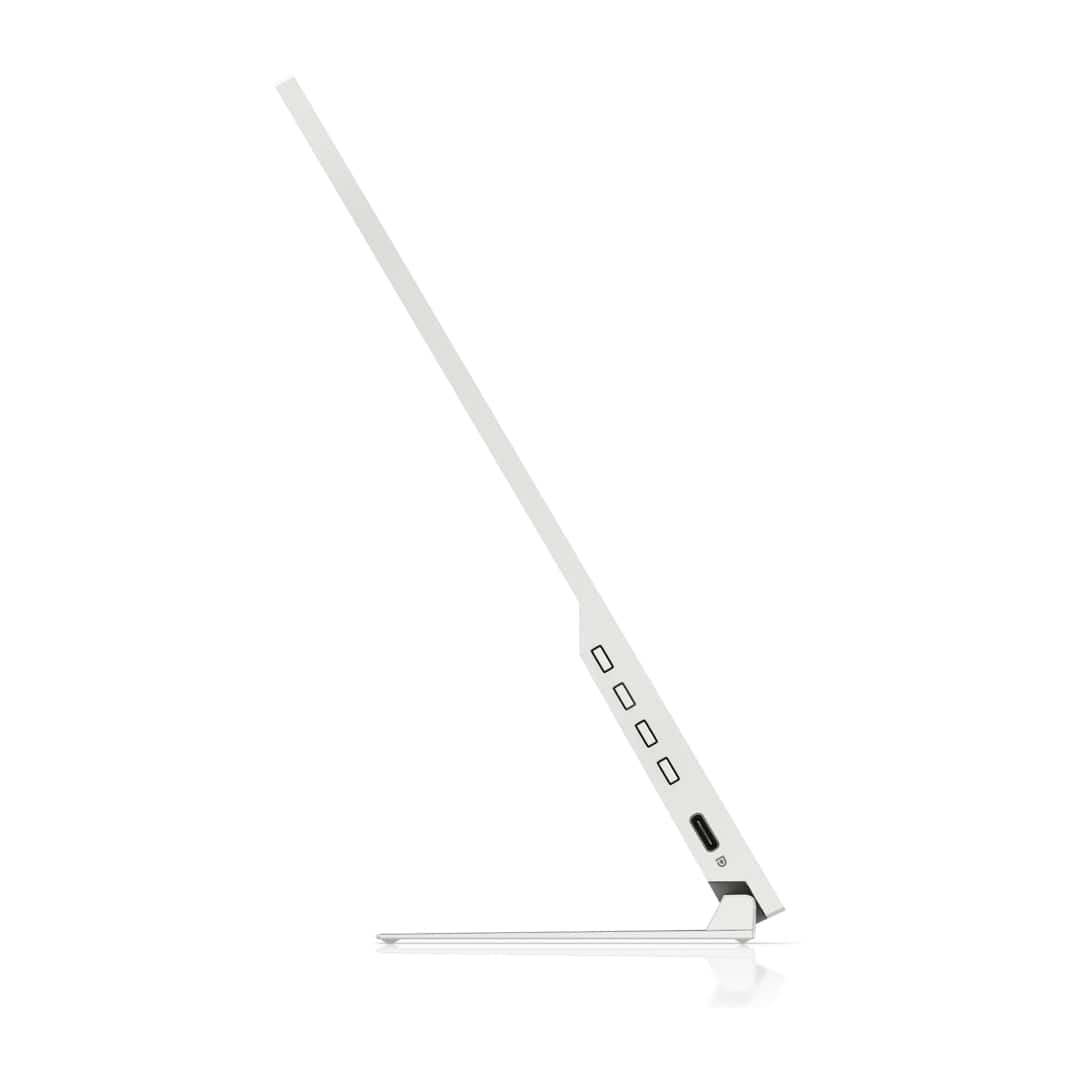 HP E14 G4 14-inch 1920 x 1080p FHD 16:9 60hz 5ms IPS Portable Monitor 1B065AS