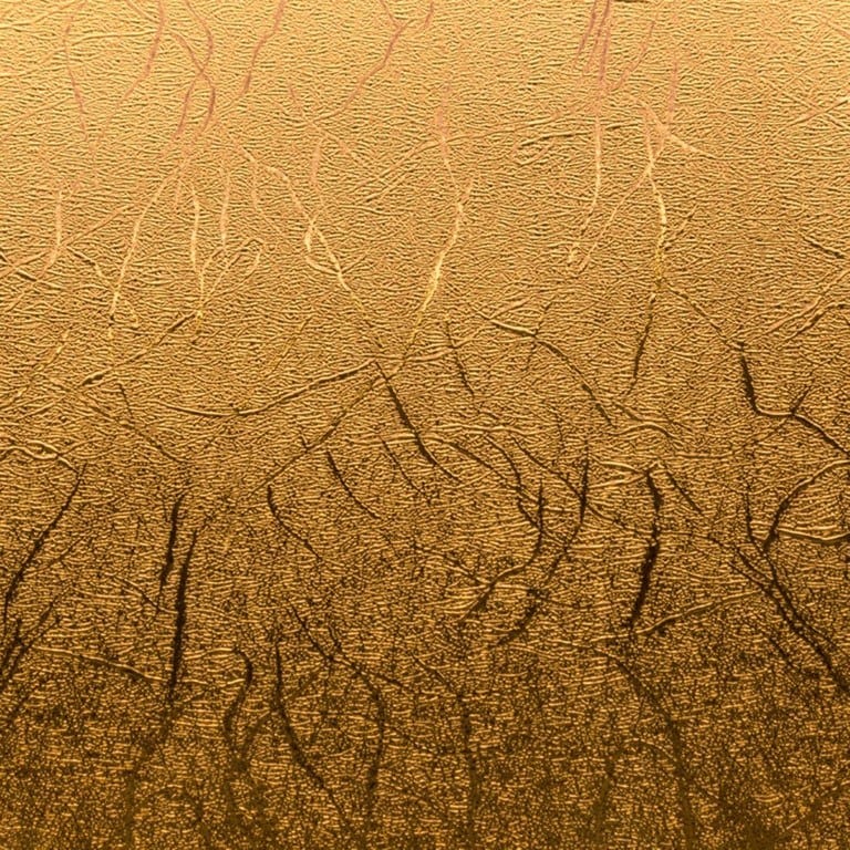 Cricut Premium Vinyl Permanent 30x122cm 1-sheet Textured Metallic Gold 2007741