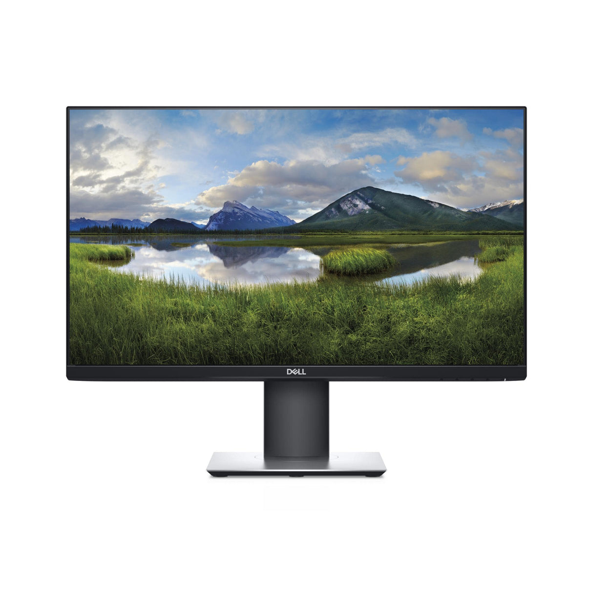 DELL P2419H 24-inch 1920 x 1080p FHD 16:9 60Hz 5ms IPS LCD Monitor 210-APWU