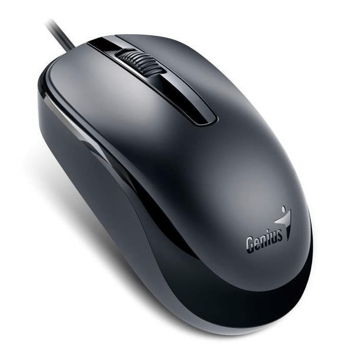 Genius DX-120 Mouse USB Type-A Optical 1000dpi Ambidextrous