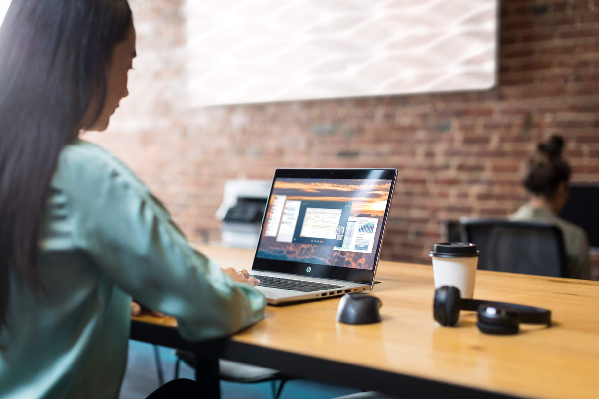 HP USB Fingerprint Mouse USB Type-A Ambidextrous 4TS44AA