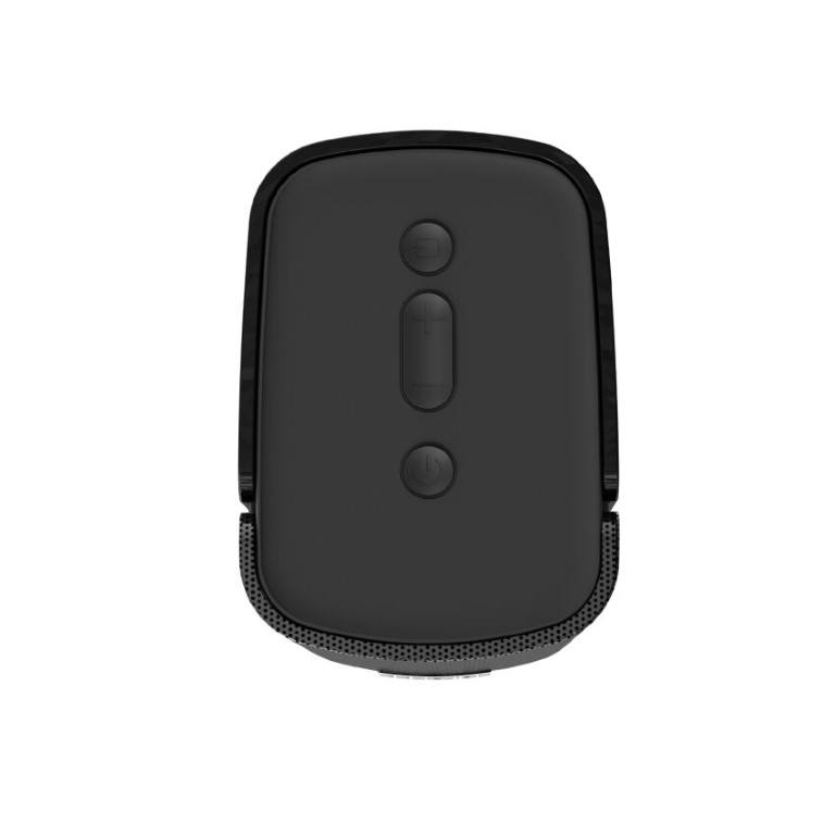 Creative Labs T100 Hi-Fi 2.0 Desktop Speakers 51MF1690AA000