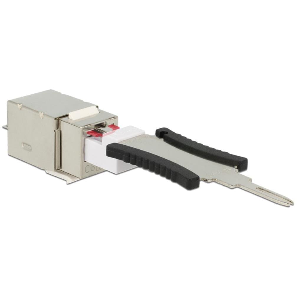 Delock Keystone Module RJ45 Secure CAT6 to LSA 86404