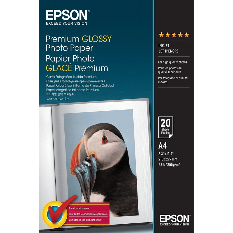 Epson Premium Glossy Photo Paper - 20 Sheets C13S041287