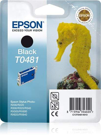 Epson T0481 Black Printer Ink Cartridge Original C13T04814010 Single-pack