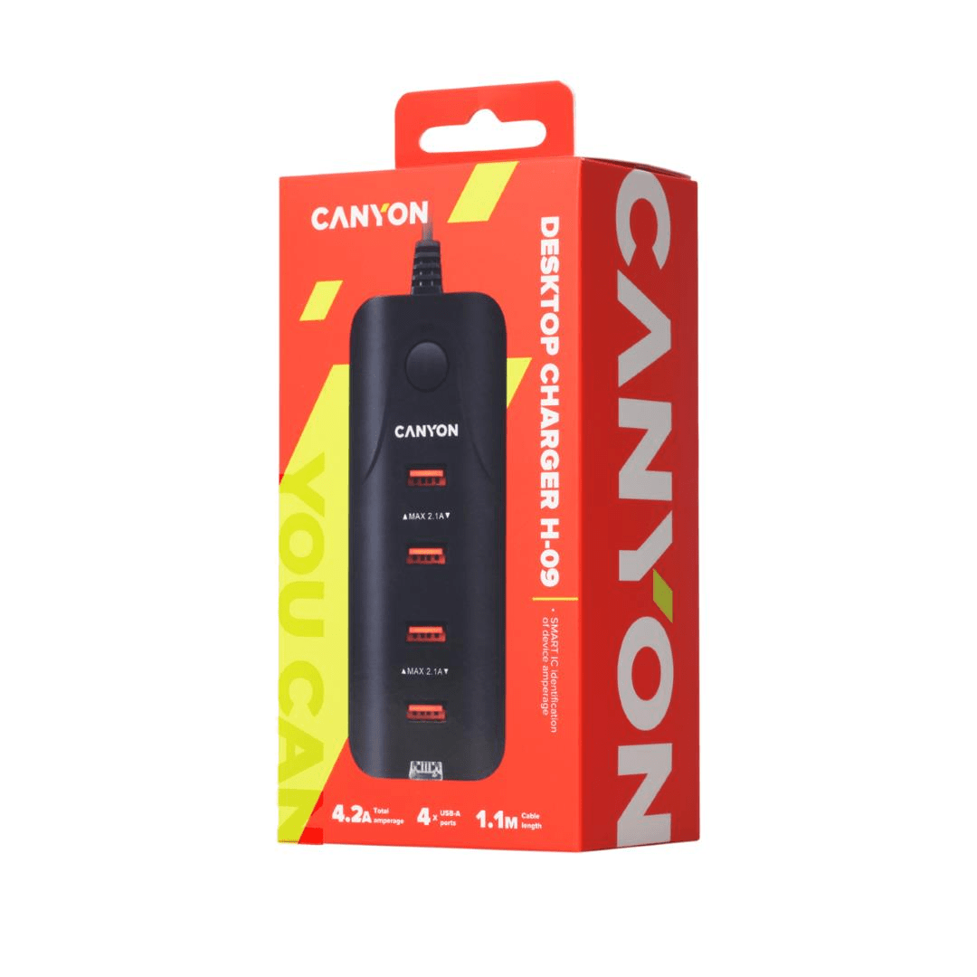 Canyon H-09 30W 4-port USB Power Adapter CNE-CHA09B